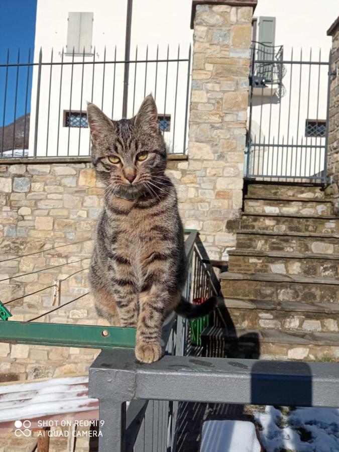 Casale Monte Valestra Panzió Bebbio Kültér fotó