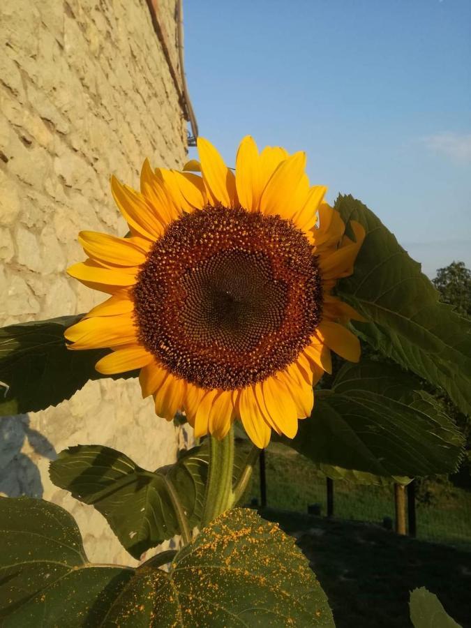 Casale Monte Valestra Panzió Bebbio Kültér fotó