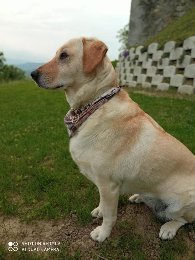 Casale Monte Valestra Panzió Bebbio Kültér fotó