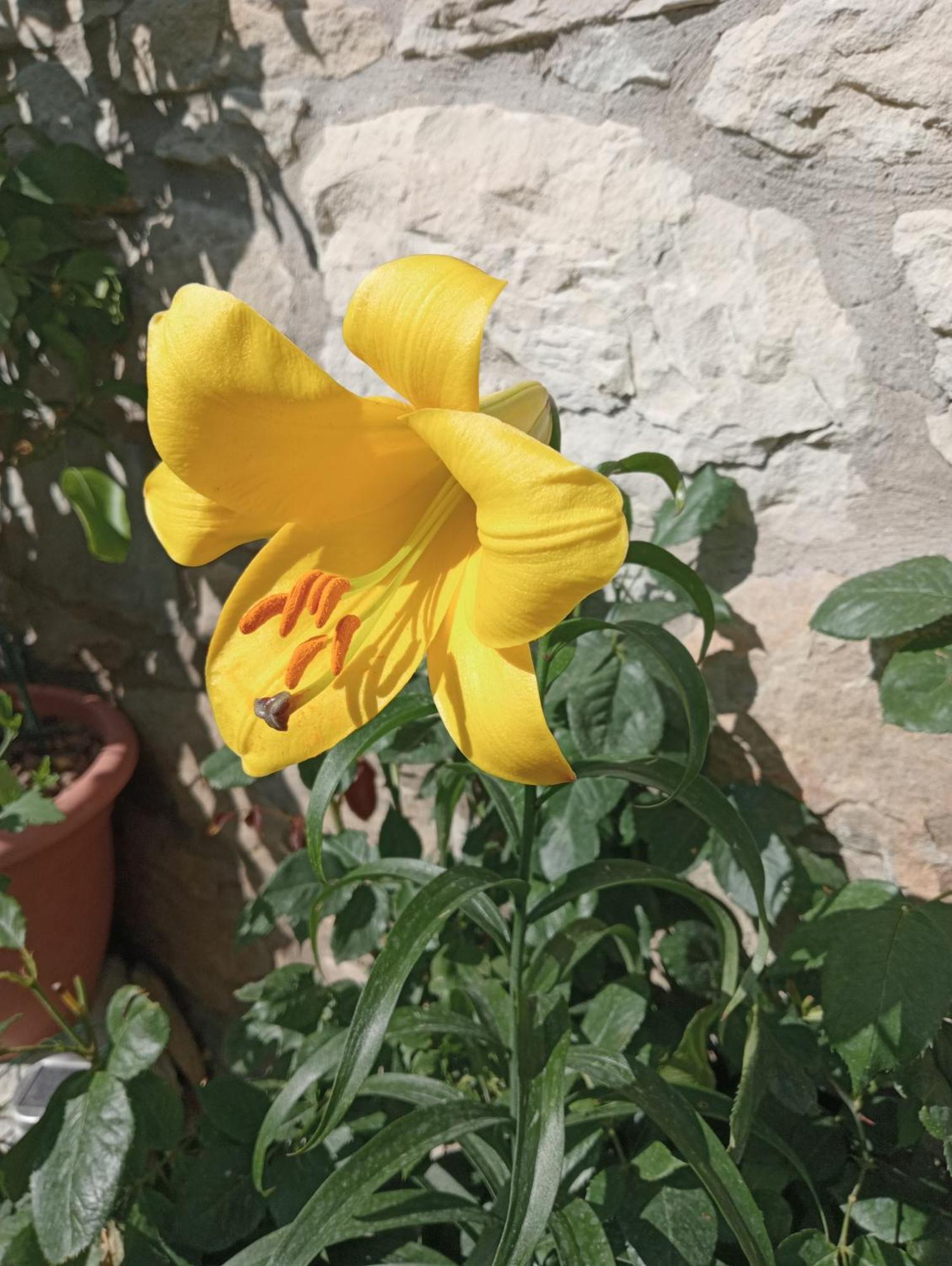Casale Monte Valestra Panzió Bebbio Szoba fotó