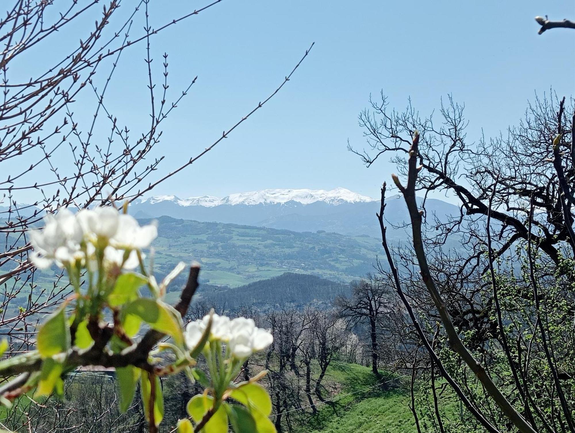 Casale Monte Valestra Panzió Bebbio Kültér fotó